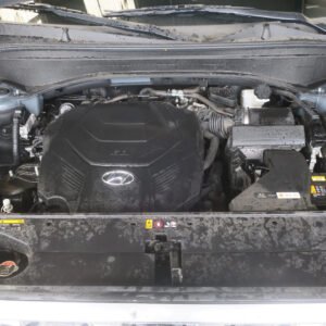 2020 Hyundai Palisade Engine Assembly